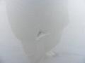 Light Pewter Metallic - Tahoe LT Photo No. 24