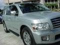 2006 Silver Indulgence Infiniti QX 56  photo #11