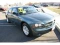 Magnesium Pearlcoat - Charger SE Photo No. 3