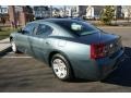 Magnesium Pearlcoat - Charger SE Photo No. 6
