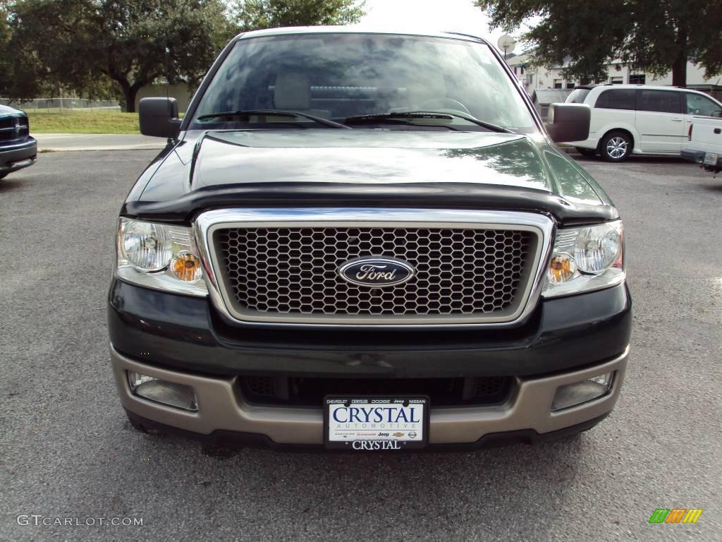2004 F150 Lariat SuperCab - Aspen Green Metallic / Tan photo #12