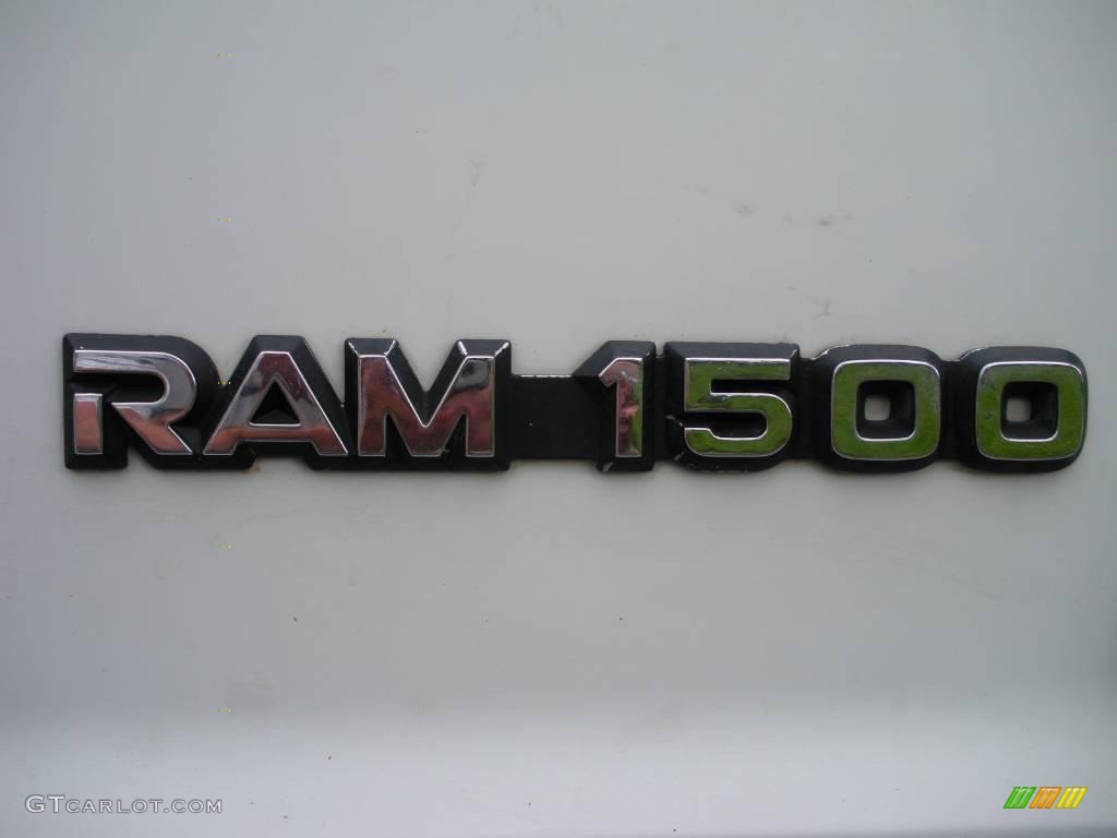 1996 Ram Van 1500 Cargo - Stone White / Gray photo #9