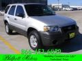 2005 Silver Metallic Ford Escape XLS  photo #1