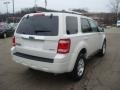 2009 White Suede Ford Escape Limited V6 4WD  photo #4