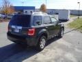 2009 Black Ford Escape Limited V6  photo #19