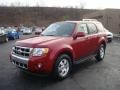 2010 Sangria Red Metallic Ford Escape Limited V6 4WD  photo #7