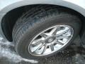 Silver Steel Metallic - 300 C HEMI Photo No. 5