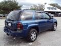 Superior Blue Metallic - TrailBlazer LS Photo No. 9