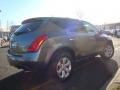 2005 Platinum Metallic Nissan Murano SL AWD  photo #10