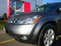 2005 Platinum Metallic Nissan Murano SL AWD  photo #16