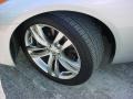 Liquid Platinum Silver - G 37 Coupe Photo No. 23