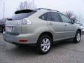 Bamboo Pearl - RX 330 AWD Photo No. 3