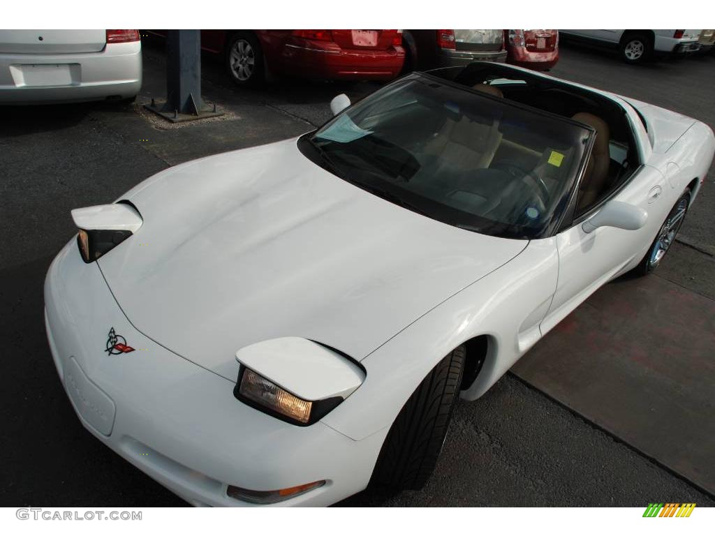 2000 Corvette Coupe - Arctic White / Light Oak photo #2