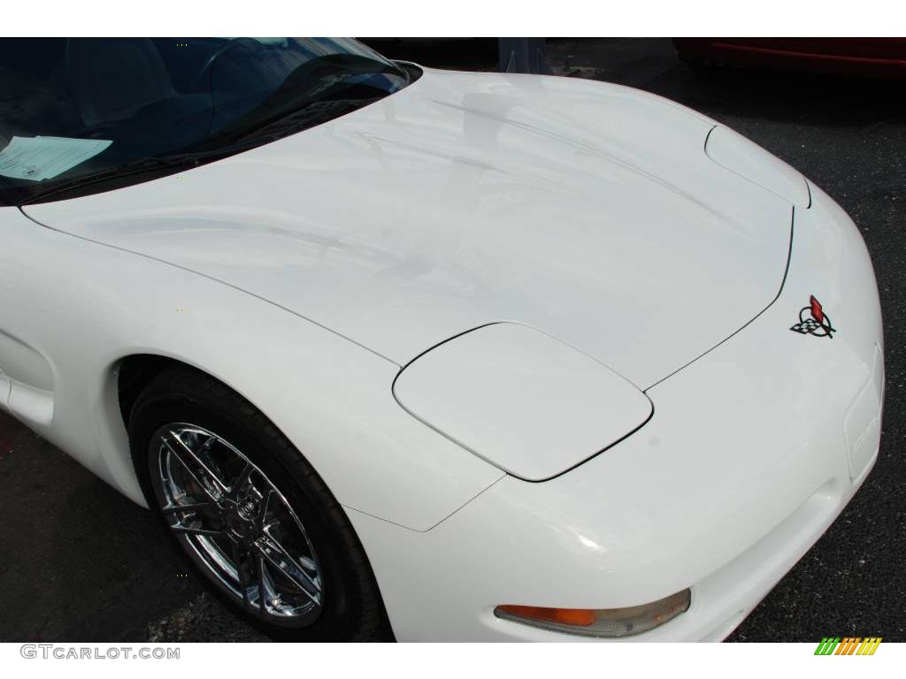 2000 Corvette Coupe - Arctic White / Light Oak photo #15
