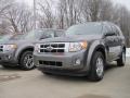 2010 Sterling Grey Metallic Ford Escape XLT V6 4WD  photo #1