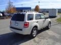 2009 White Suede Ford Escape XLT V6  photo #5