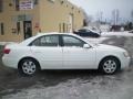 Powder White Pearl - Sonata GLS Photo No. 11