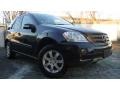 Black - ML 350 4Matic Photo No. 2