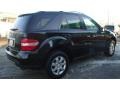 Black - ML 350 4Matic Photo No. 4