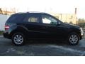 Black - ML 350 4Matic Photo No. 5