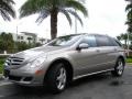 2007 Pewter Metallic Mercedes-Benz R 350 4Matic  photo #2