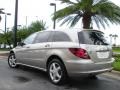 2007 Pewter Metallic Mercedes-Benz R 350 4Matic  photo #8