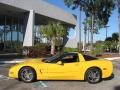 2002 Millenium Yellow Chevrolet Corvette Coupe  photo #5