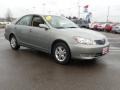 Mineral Green Opalescent - Camry LE Photo No. 7