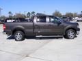 2006 Dark Stone Metallic Ford F150 XLT SuperCrew  photo #5