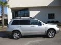 Munich Silver Metallic - Outlander XLS 4WD Photo No. 6