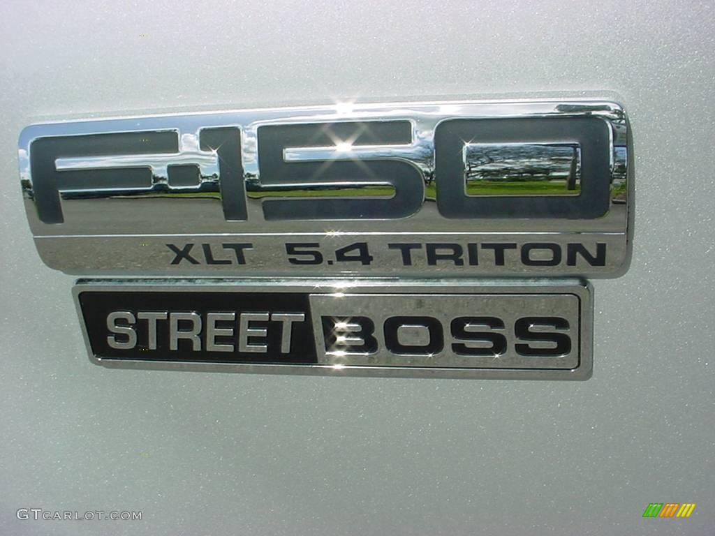 2006 F150 XLT SuperCrew Street Boss - Silver Metallic / Medium/Dark Flint photo #16
