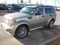 Light Sandstone Metallic 2010 Dodge Nitro SXT