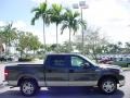 2007 Dark Stone Metallic Ford F150 XLT SuperCrew  photo #2