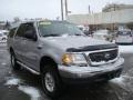Silver Metallic - Expedition XLT 4x4 Photo No. 5