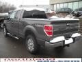 2010 Sterling Grey Metallic Ford F150 XLT SuperCab 4x4  photo #8