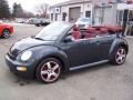 Dark Flint Metallic - New Beetle Dark Flint Edition Convertible Photo No. 3