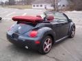 Dark Flint Metallic - New Beetle Dark Flint Edition Convertible Photo No. 4