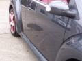 Dark Flint Metallic - New Beetle Dark Flint Edition Convertible Photo No. 10