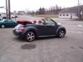 Dark Flint Metallic - New Beetle Dark Flint Edition Convertible Photo No. 35