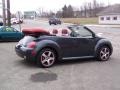 Dark Flint Metallic - New Beetle Dark Flint Edition Convertible Photo No. 36