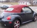 Dark Flint Metallic - New Beetle Dark Flint Edition Convertible Photo No. 38