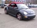 Dark Flint Metallic - New Beetle Dark Flint Edition Convertible Photo No. 39