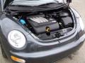 Dark Flint Metallic - New Beetle Dark Flint Edition Convertible Photo No. 46