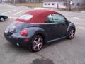 Dark Flint Metallic - New Beetle Dark Flint Edition Convertible Photo No. 55