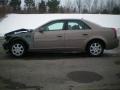 Sand Storm - CTS Sedan Photo No. 3