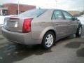 Sand Storm - CTS Sedan Photo No. 6