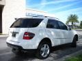 Arctic White - ML 350 4Matic Photo No. 6