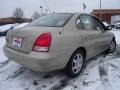 2003 Champagne Beige Hyundai Elantra GLS Sedan  photo #5