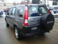 2006 Pewter Pearl Honda CR-V LX 4WD  photo #2