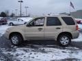 2007 Dune Pearl Metallic Ford Escape XLT V6 4WD  photo #2
